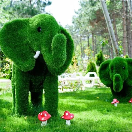 Sunny In Sweet Complex Appartement *